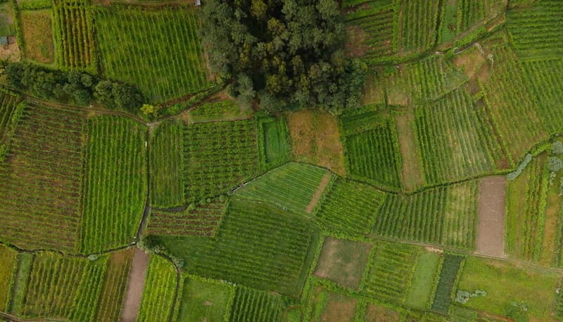 Vinho Verde: Private Wine Tasting w/ Tapas & Fortress Visit - Key Points
