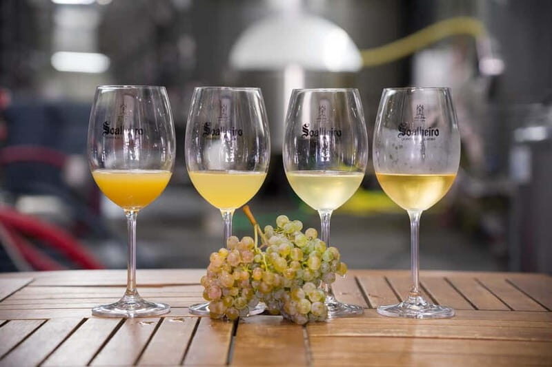 Vinho Verde: Private Wine Tasting w/ Tapas & Fortress Visit - An Introduction to the Tour Experience