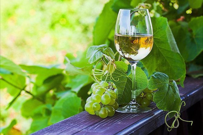 vinho-verde-private-wine-tour-all-inclusive