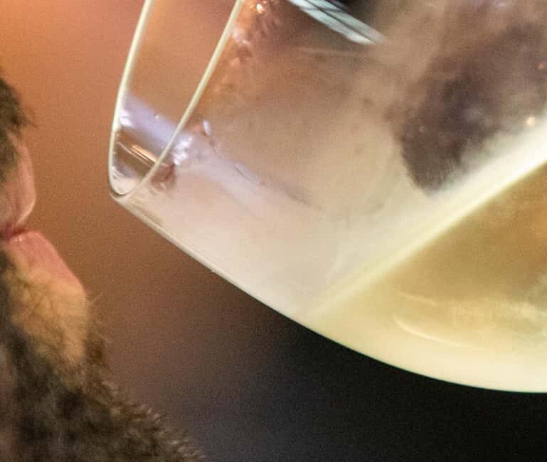 Vinho Verde - Wine Tasting with Transportation - An In-Depth Look at the Tour Experience
