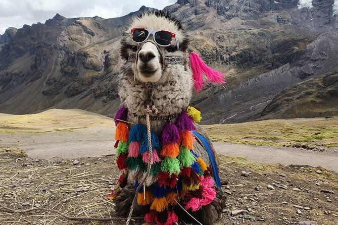 vinicunca-rainbow-mountain-tour-2