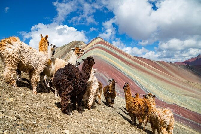 vinicunca-rainbow-mountain-trekking-tour-from-cusco