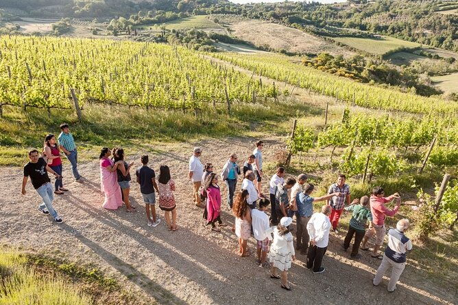 vino-nobile-di-montepulciano-wine-tour-meet-the-producers-3