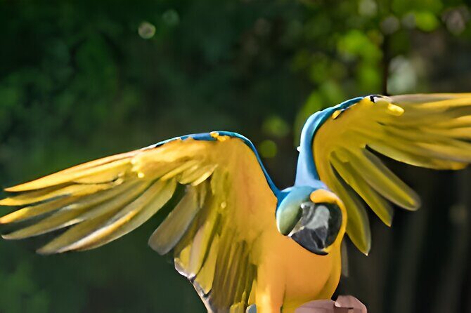 Vinpearl Phu Quoc vietnam World of Relaxation Fun and Discovery - Comprehensive Breakdown of the Experience