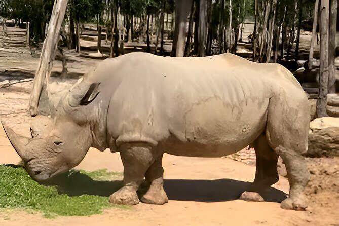 Vinpearl Phu Quoc vietnam World of Relaxation Fun and Discovery - Final Thoughts: Is It Worth It?