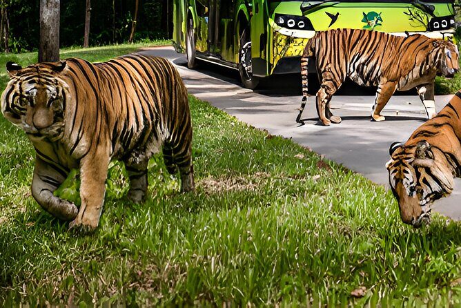 Vinpearl Phu Quoc vietnam World of Relaxation Fun and Discovery - FAQ