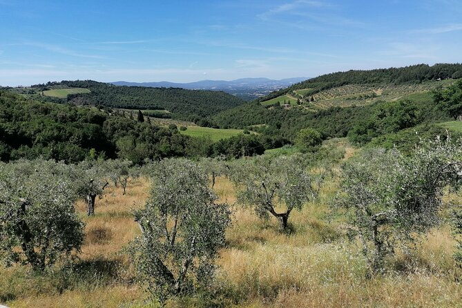 vintage-fiat-500-experience-in-the-florentine-hills-2