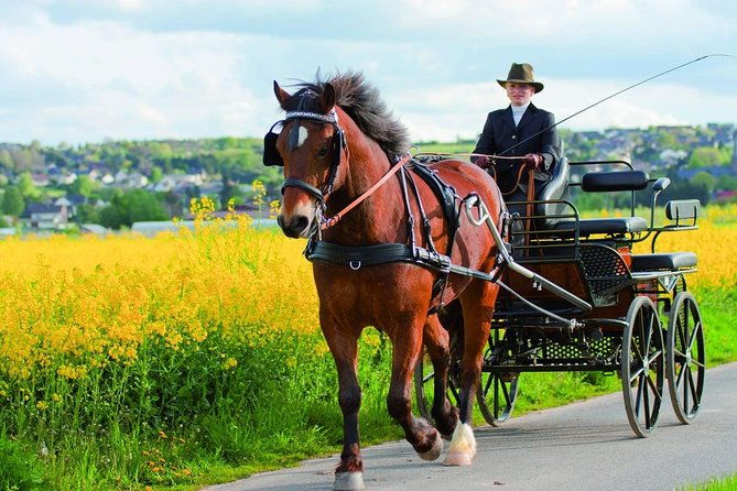 vinyard-tour-by-horse-carriage-with-delicious-tasting-umbria