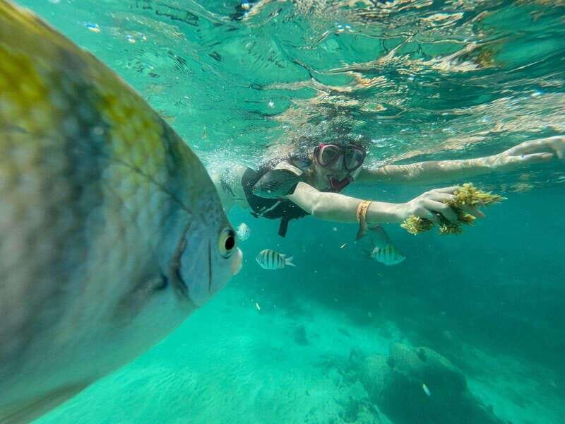 VIP 3 Cenotes Private Tour - VIP 3 Cenotes Private Tour: An Authentic Water Adventure in Quintana Roo