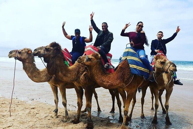 Vip 4 Hour Tangier Private Trip - Who Would Love This Tour?