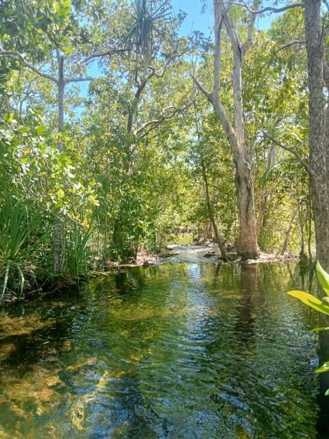 vip backpacker Litchfield - Key Points