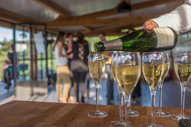 vip-champagne-region-day-trip-with-7-tastings-lunch-from-paris-2
