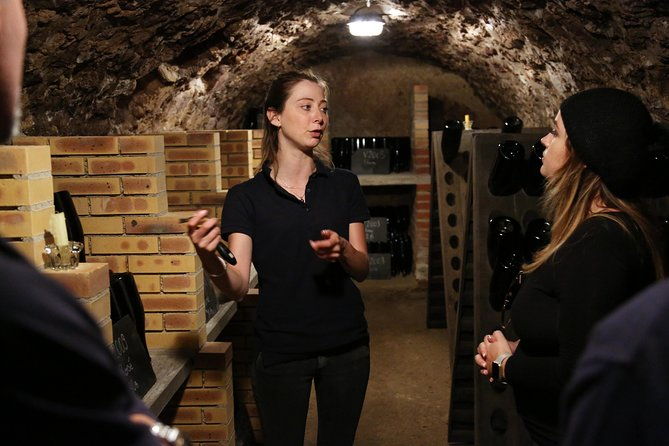 vip-champagne-region-day-trip-with-7-tastings-lunch-from-paris-2