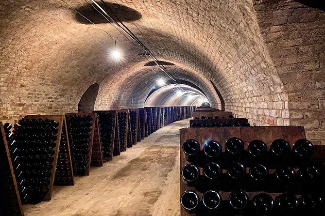 vip-champagne-region-day-trip-with-7-tastings-lunch-from-paris