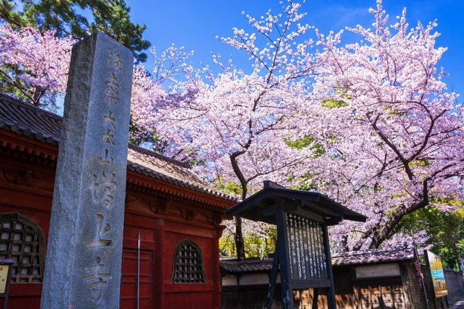 vip-cherry-blossom-tour-by-limousine-with-exclusive-dinner