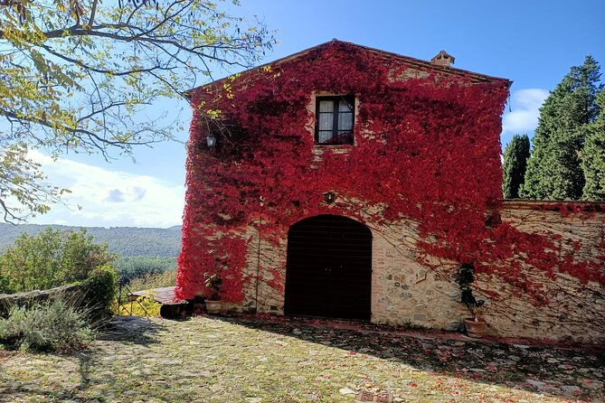 vip-chianti-montalcino-pienza-with-lunch-from-siena