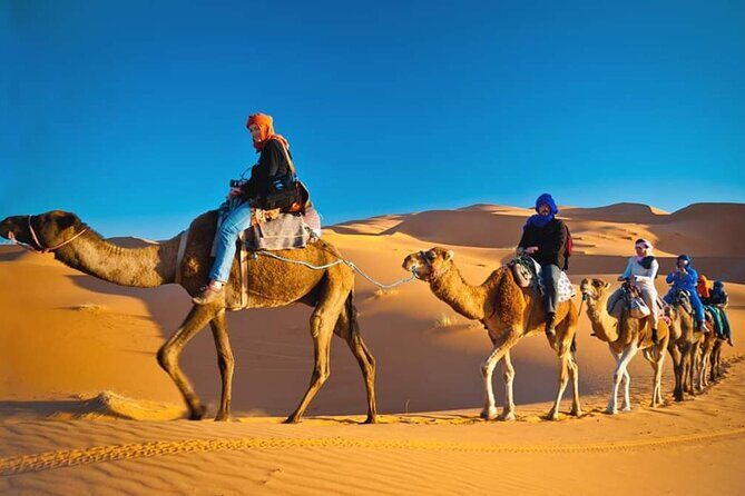 VIP Desert Safari Dubai - FAQ