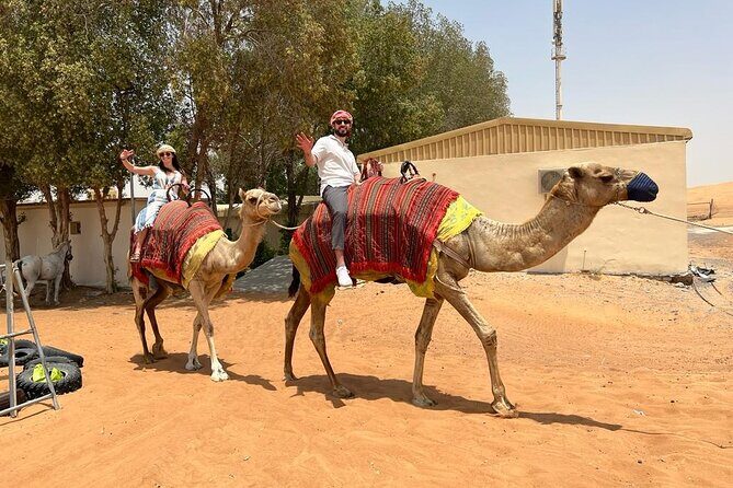 Vip Desert Safari Dubai with Camel Riding BBQ Dinner & Live Shows - FAQs