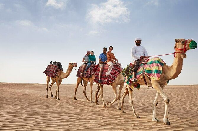 VIP Dubai Sunset Desert Safari: Camel Ride, BBQ, Unlimited Spirit - What Travelers Say