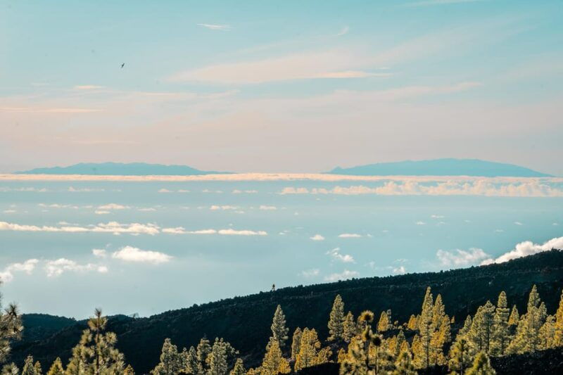 vip-eco-tours-masca-teide