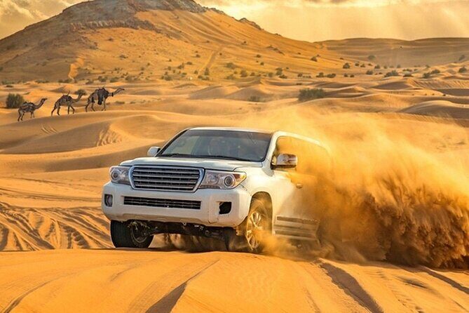 VIP Evening Desert Private Safari Tour in Dubai - Who Should Consider This Tour?