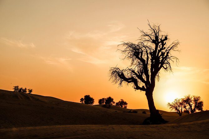 VIP Evening Desert Safari, Camel Ride, Dune Bashing, Sand Boarding, Exclusive - FAQ