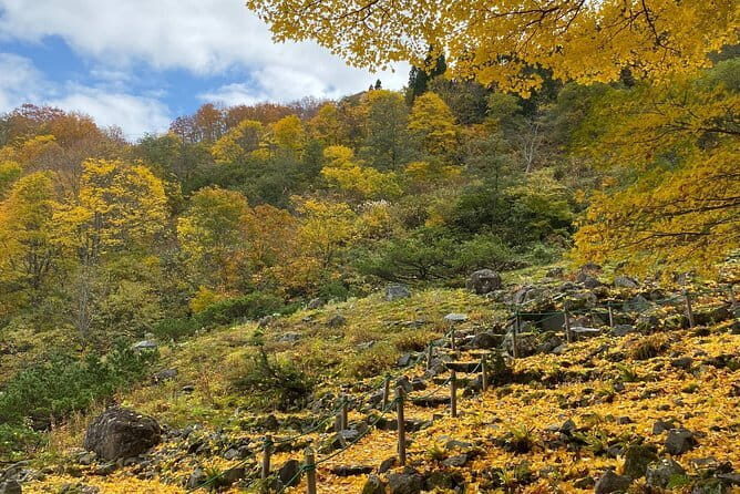 VIP Exclusive Hidden Niigata Tour with Artisans and Farmers - Practical Tips