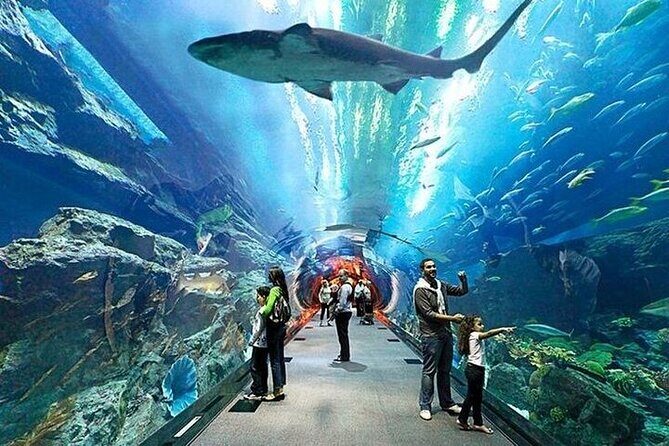 VIP Experience Dubai Aquarium & Underwater Zoo-As per Selection - Practical Details: How to Make the Most of Your Visit