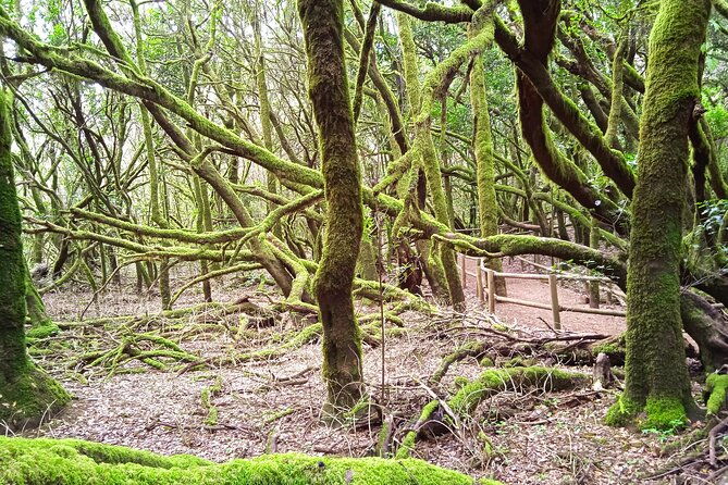 vip-experience-in-magica-gomera