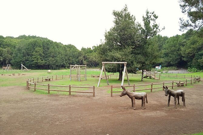 vip-experience-in-magica-gomera