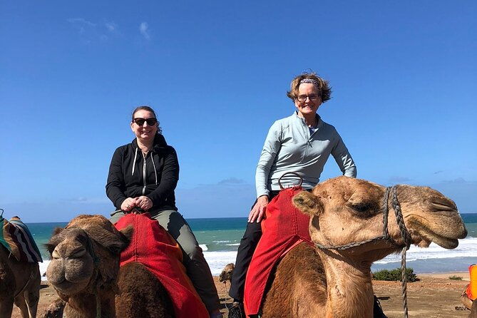 vip-full-day-private-tangier-tour-from-malaga-all-inclusive-3