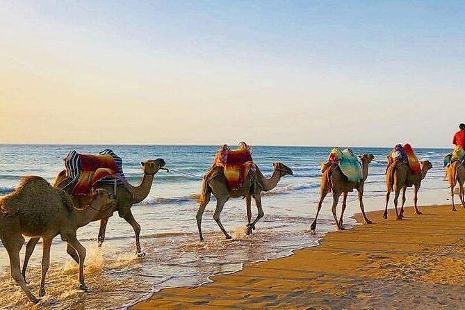 vip-full-day-private-tangier-tour-from-malaga-all-inclusive-4