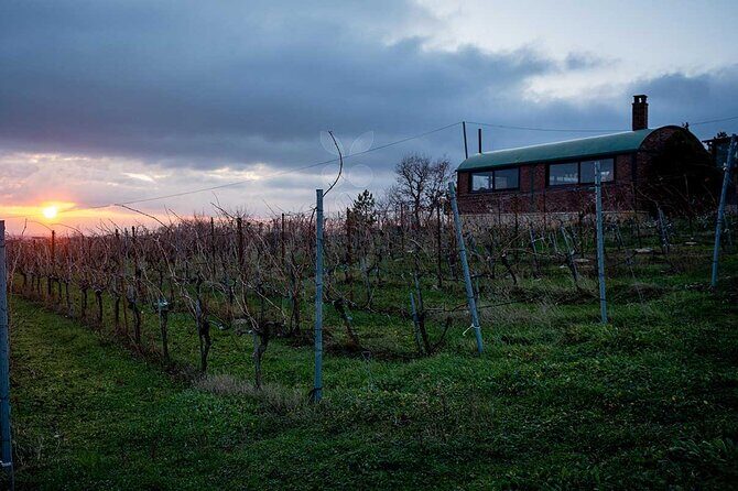 VIP Full Day Wineries Tour from Istanbul - Who Should Consider This Tour?