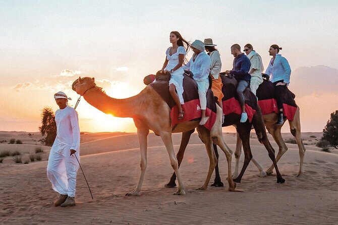 VIP Half Day Private Desert Safari in Dubai - The Private Pickup and Transfer