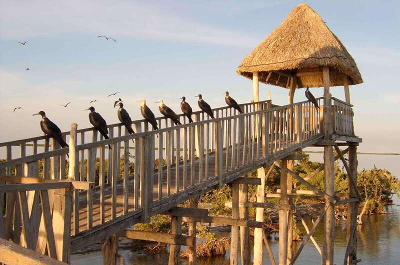 VIP Holbox Island Sunrise - 2 Points + Fruit + Coffee - Key Points