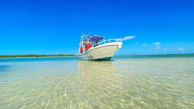 VIP Holbox Island Sunrise - 2 Points + Fruit + Coffee - A Closer Look at the Experience