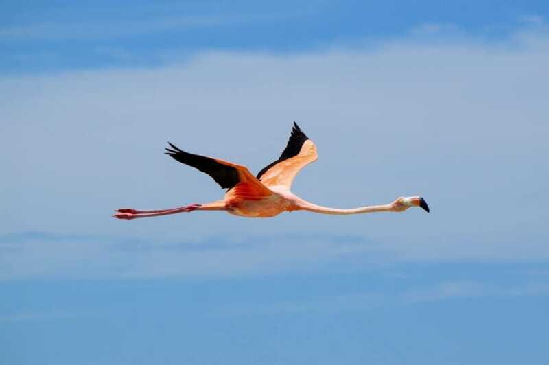 VIP Holbox Island Sunrise - 2 Points + Fruit + Coffee - FAQs