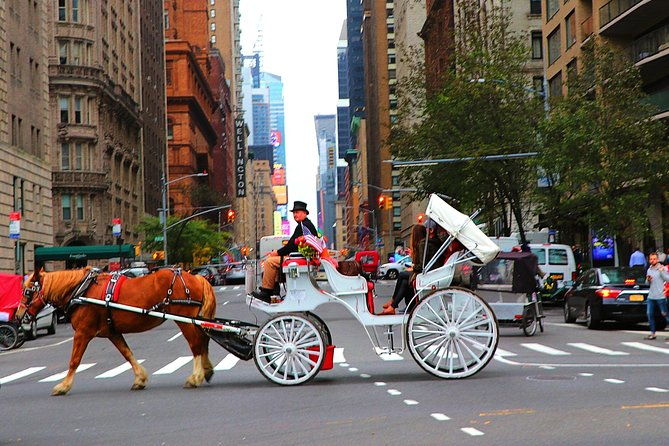 vip-horse-carriage-ride-through-central-park-up-to-4-adults