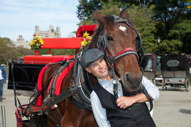 vip-horse-carriage-ride-through-central-park-up-to-4-adults