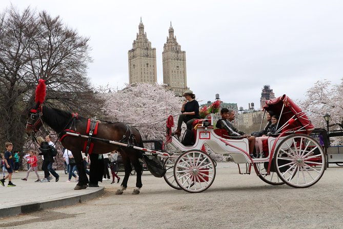 vip-horse-carriage-ride-through-central-park-up-to-4-adults