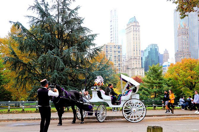 vip-horse-carriage-ride-through-central-park-up-to-4-adults