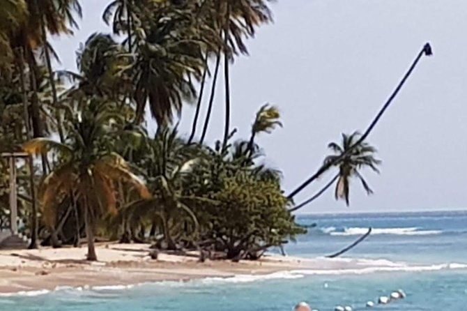 vip-inclusive-private-tour-of-island-lunch-drinks-snorkeling