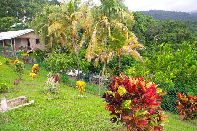 vip-inclusive-private-tour-of-island-lunch-drinks-snorkeling