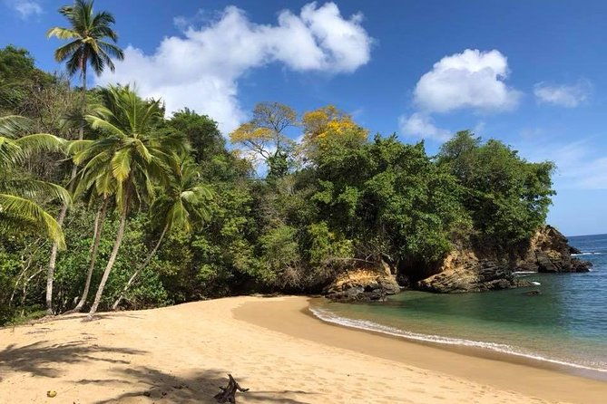 vip-inclusive-private-tour-of-island-lunch-drinks-snorkeling