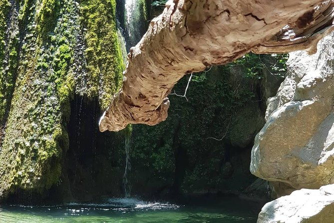 vip-luxury-private-tour-half-day-4x4-excursion-with-land-rover