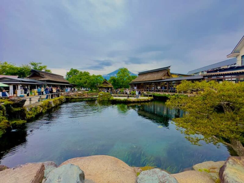 VIP Mount Fuji, Hakone with Beautiful Lakes One Day Tour - A Detailed Look at the VIP Mount Fuji, Hakone with Beautiful Lakes One Day Tour