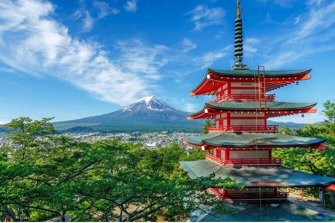 VIP Mt. Fuji and Hakone Customized Private One Day Tour. - Why Consider This Tour?