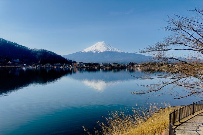 VIP Mt. Fuji and Hakone Customized Private One Day Tour. - Who Would Love This Tour?