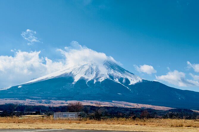VIP Mt. Fuji and Hakone Customized Private One Day Tour. - Final Thoughts