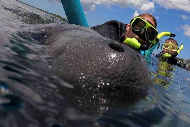 vip-private-boat-manatee-snorkel-tour-with-in-water-guide-and-photograper-2